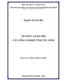 Luận văn Thạc sĩ Địa lý học: Tổ chức lãnh thổ cây công nghiệp tỉnh Tây Ninh