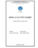 Khóa luận tốt nghiệp Kế toán – Kiểm toán: Hoàn thiện công tác kế toán doanh thu, chi phí và xác định kết quả kinh doanh tại Công ty cổ phần đầu tư khoáng sản Việt Long