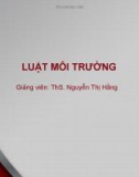 Bài giảng Luật môi trường: Bài 4 - ThS. Nguyễn Thị Hằng