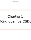 Chương 1 Tổng quan về CSDL