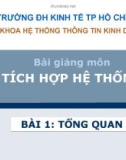 Bài giảng Tích hợp hệ thống: Bài 1 - ĐH Kinh tế Tp HCM