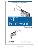 NET Framework Essentials