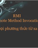 RMI (Remote Method Invocation)