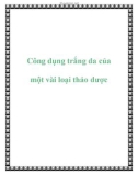 Công dụng trắng da của một vài loại thảo dược