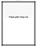 Chạm giữa rừng sơn