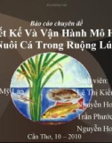 Thiết Kế Và Vận Hành Mô Hình Nuôi Cá Trong Ruộng Lúa