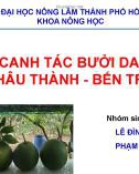 Bài thuyết trình Kĩ thuật canh tác bưởi da xanh tại Châu Thành - Bến Tre