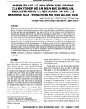 Lượng ăn vào và khả năng sinh trưởng của ba tổ hợp bò lai giữa đực Charolais, Droughtmaster và Red Angus với cái lai brahman nuôi trong nông hộ tỉnh Quảng Ngãi