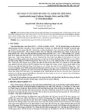 Ghi nhận vùng phân bố mới của loài Cóc mày sung Leptobrachella sungi (Lathrop, Murphy, Orlov, and Ho, 1998) ở tỉnh Hòa Bình