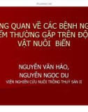 Tổng quan về các bệnh nguy hiểm thường gặp trên động vật nuôi biển