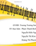 An toàn bức xạ phương pháp nghiên cứu phông tự nhiên