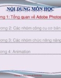 Bài giảng Công cụ thiết kế đồ họa: Chương 1 - Nguyễn Thị Mỹ Dung