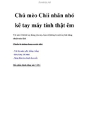 Chú mèo Chii nhăn nhó kê tay máy tính thật êm