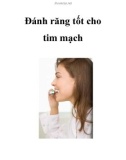 Đánh răng tốt cho tim mạch