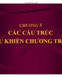 Bài giảng Lập trình C căn bản: Chương 5 - Phạm Thế Bảo