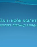 Bài giảng Multimedia - Phần 1: Ngôn ngữ HTML