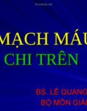 Bài giảng: Mạch máu chi trên