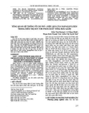 Tổng quan hệ thống về chi phí – hiệu quả của dapagliflozin trong điều trị suy tim phân suất tống máu giảm