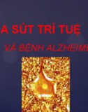 Bài giảng Dược lý 3: Sa sút trí tuệ và bệnh Alzheimer - Mai Thị Thanh Thường