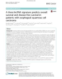 A three-lncRNA signature predicts overall survival and disease-free survival in patients with esophageal squamous cell carcinoma