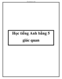 Học tiếng Anh bằng 5 giác quan