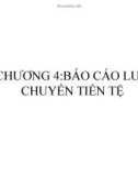 Bài giảng Phân tích báo cáo tài chính: Chương 4 - ThS. Nguyễn Thị Ngọc Lan