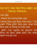 Bài giảng Lý thuyết thị trường hiệu quả (Theory Effcient)