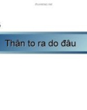 Bài giảng điện tử môn sinh học: Thân cây phát triển như thế nào