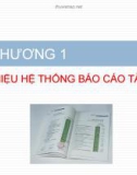 Bài giảng Báo cáo tài chính - Chương 1 Giới thiệu hệ thống báo cáo tài chính