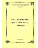 Báo cáo tài chính quý 2 và 6 tháng đầu năm 2019 - Công ty cổ phần Việt Nam Kỹ nghệ Súc sản