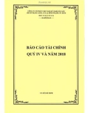 Báo cáo tài chính quý 4 và năm 2018 - Công ty cổ phần Việt Nam Kỹ nghệ Súc sản