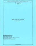 Báo cáo tài chính quý 1 năm 2019 - Công ty cổ phần Nhựa và Môi trường xanh An Phát