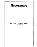 Báo cáo tài chính riêng quý 1 năm 2019 - Công ty cổ phần Chứng khoán SSI