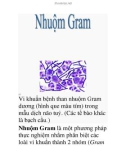 nhuôm gram