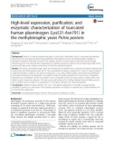 High-level expression, purification, and enzymatic characterization of truncated human plasminogen (Lys531-Asn791) in the methylotrophic yeast Pichia pastoris