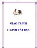 Giáo trình Vi sinh vật học toàn tập