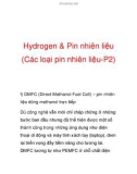 Hydrogen & Pin nhiên liệu (Các loại pin nhiên liệu-P2)