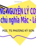 Bài giảng những nguyên lý cơ bản của chủ nghĩa Mác Lênin (PGS.TS Phương Kỳ Sơn) - Chương 3