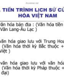 Bài giảng Cơ sở văn hóa Việt Nam - Tiến trình lịch sử của văn hóa Việt Nam