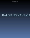 Bài giảng văn hóa