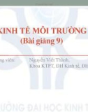 Kinh tế môi trường - Bài giảng 9