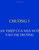 Kinh tế học kinh doanh - Chương 5 Can thiệp cùa nhà nước với thị trường