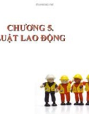 Bài giảng Luật học đại cương: Chương 5 - ThS. Trần Vân Long