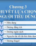 Bài giảng môn Kinh tế học - Chương 3: Lý thuyết lựa chọn của người tiêu dùng