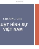 Bài giảng Chương 8: Luật Hình sự Việt Nam