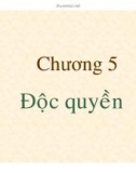 Bài giảng Kinh tế vi mô: Chương 5 - TS. Hạ Thị Thiều Dao