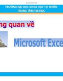 Bài giảng Tổng quan về Microsoft excel