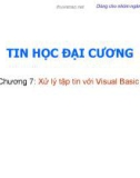 Bài giảng Tin học đại cương: Bài 7 - TS. Trần Quang Diệu