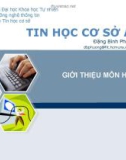 Bài giảng Tin học cơ sở A: Giới thiệu môn học - Đặng Bình Phương