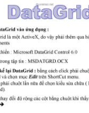 Bài giảng Lập trình trực quan (Ngôn ngữ Visual Basic): Bài 4 - DataGrid